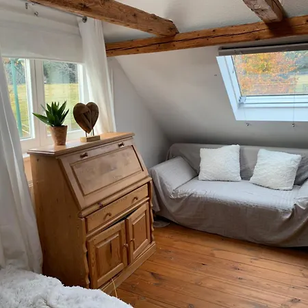 Rennsteig-wander-mountainbike Und Langlaufparadies Friedrichshohe (Sonneberg)