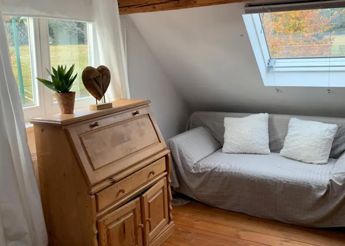 Rennsteig-wander-mountainbike Und Langlaufparadies Friedrichshohe (Sonneberg)