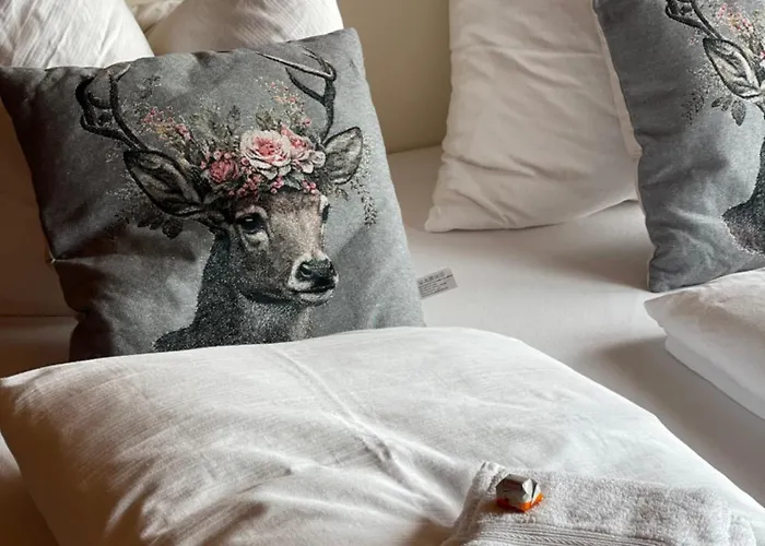 Rennsteig-wander-mountainbike Und Langlaufparadies