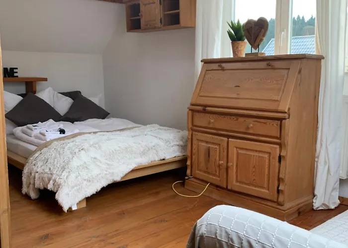 Rennsteig-wander-mountainbike Und Langlaufparadies Lejlighed Friedrichshohe (Sonneberg)